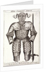 Will Summers's armor by Anonymous