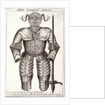 Will Summers's armor by Anonymous