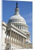 U. S. Capitol Building in Washington, DC by Anonymous