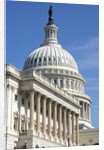 U. S. Capitol Building in Washington, DC by Anonymous