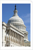 U. S. Capitol Building in Washington, DC by Anonymous
