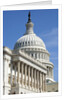 U. S. Capitol Building in Washington, DC by Anonymous