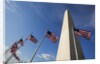 American flags encircling Washington Monument by Anonymous