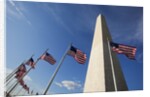 American flags encircling Washington Monument by Anonymous