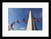 American flags encircling Washington Monument by Anonymous
