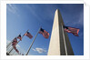 American flags encircling Washington Monument by Anonymous
