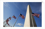 American flags encircling Washington Monument by Anonymous