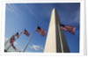 American flags encircling Washington Monument by Anonymous