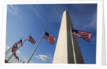 American flags encircling Washington Monument by Anonymous