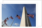 American flags encircling Washington Monument by Anonymous
