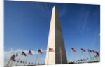 American flags encircling Washington Monument by Anonymous