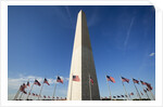 American flags encircling Washington Monument by Anonymous