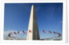 American flags encircling Washington Monument by Anonymous