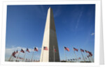 American flags encircling Washington Monument by Anonymous