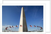 American flags encircling Washington Monument by Anonymous