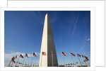 American flags encircling Washington Monument by Anonymous