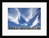 Cirrus clouds in summer sky by Anonymous