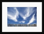 Cirrus clouds in summer sky by Anonymous