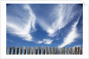 Cirrus clouds in summer sky by Anonymous