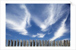 Cirrus clouds in summer sky by Anonymous