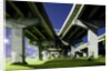 Highway overpass at night by Anonymous