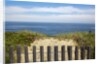 Fence and sand dunes on coast by Anonymous