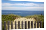 Fence and sand dunes on coast by Anonymous