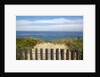 Fence and sand dunes on coast by Anonymous