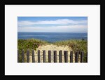 Fence and sand dunes on coast by Anonymous
