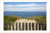 Fence and sand dunes on coast by Anonymous