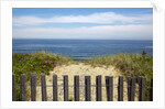Fence and sand dunes on coast by Anonymous