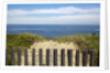 Fence and sand dunes on coast by Anonymous