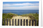 Fence and sand dunes on coast by Anonymous