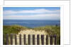 Fence and sand dunes on coast by Anonymous