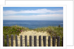 Fence and sand dunes on coast by Anonymous