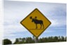 Moose crossing sign by Anonymous