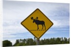 Moose crossing sign by Anonymous