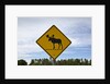 Moose crossing sign by Anonymous