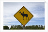 Moose crossing sign by Anonymous