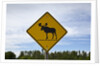Moose crossing sign by Anonymous