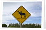 Moose crossing sign by Anonymous