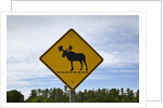 Moose crossing sign by Anonymous