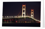 Mackinac Bridge at night by Anonymous