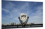 Manhattan skyline from New Jersey by Anonymous