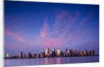Manhattan skyline from New Jersey by Anonymous