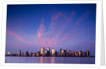 Manhattan skyline from New Jersey by Anonymous