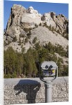 Mount Rushmore National Monument in South Dakota by Anonymous
