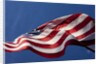American Flag, Washington by Anonymous