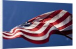 American Flag, Washington by Anonymous