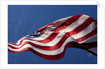 American Flag, Washington by Anonymous